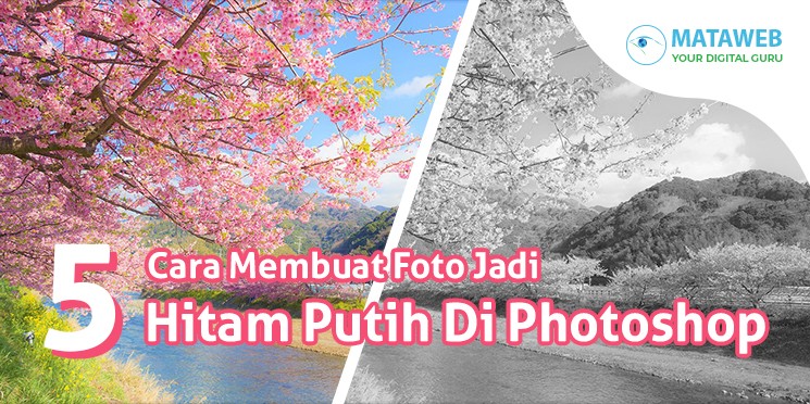 5 Cara Membuat Foto Jadi Hitam Putih Di Photoshop